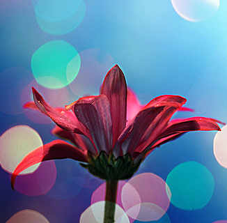 photo001